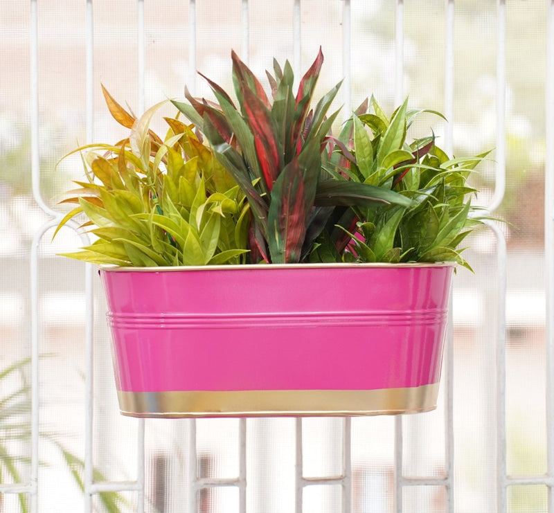 Buy Hanging Pots For Plants Balcony Railing (Pink - Pack4) | Shop Verified Sustainable Pots & Planters on Brown Living™