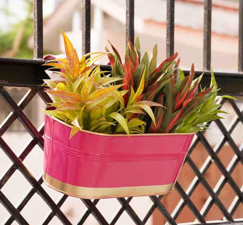 Buy Hanging Pots For Plants Balcony Railing (Pink - Pack6) | Shop Verified Sustainable Pots & Planters on Brown Living™