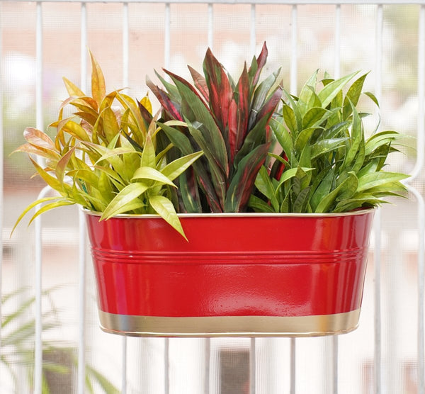 Buy Hanging Pots For Plants Balcony Railing (Red - Pack4) | Shop Verified Sustainable Pots & Planters on Brown Living™