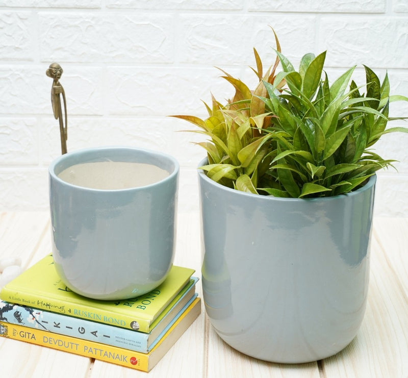 Buy Indoor Ceramic Pot for Living Room - Grey, Set of 2 | Shop Verified Sustainable Pots & Planters on Brown Living™