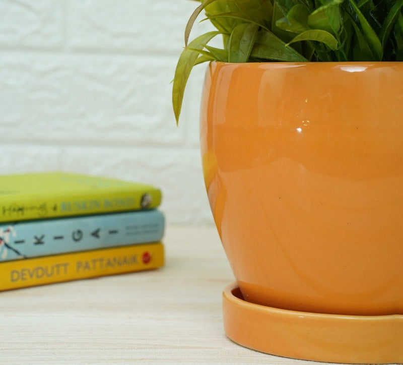 Buy Indoor Ceramic Pot for Living Room - Orange Pot | Shop Verified Sustainable Pots & Planters on Brown Living™