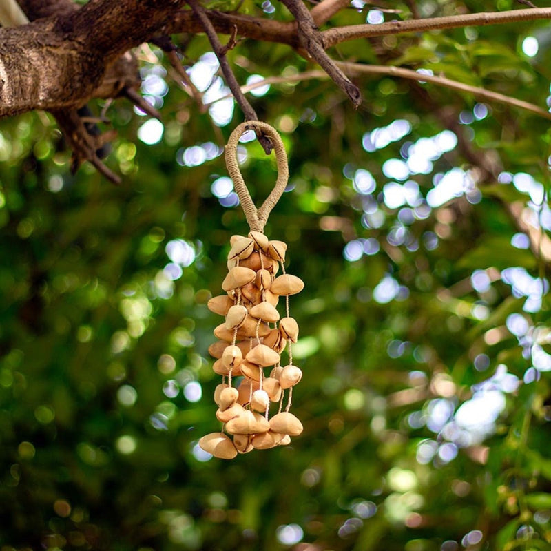 Buy Kenari Seed Rattle with Rattan Handle- Large | Shop Verified Sustainable Musical Instruments on Brown Living™