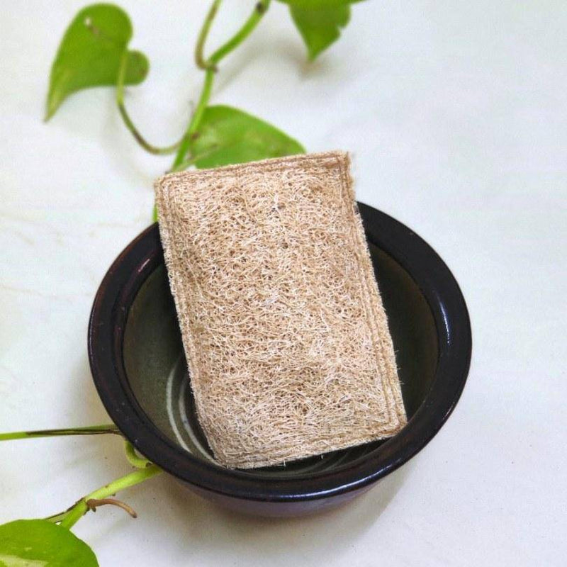 Buy Natural Loofah Dish Scrub (Plant based Utensil Scrub) | Shop Verified Sustainable Cleaning Supplies on Brown Living™