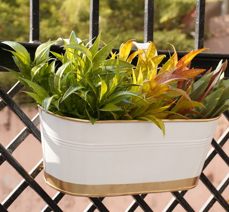 Railing Planters for Balcony(Oval White Pack 6) | Verified Sustainable Pots & Planters on Brown Living™