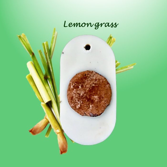 Buy Reusable Soy Wax Air freshener- Lemongrass Oil- Pack of 1 | Shop Verified Sustainable Candles & Fragrances on Brown Living™