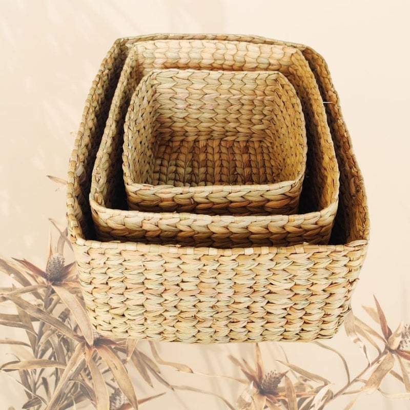 Set of 3 baskets - Water Reed (Kauna Grass) | Verified Sustainable Baskets & Boxes on Brown Living™