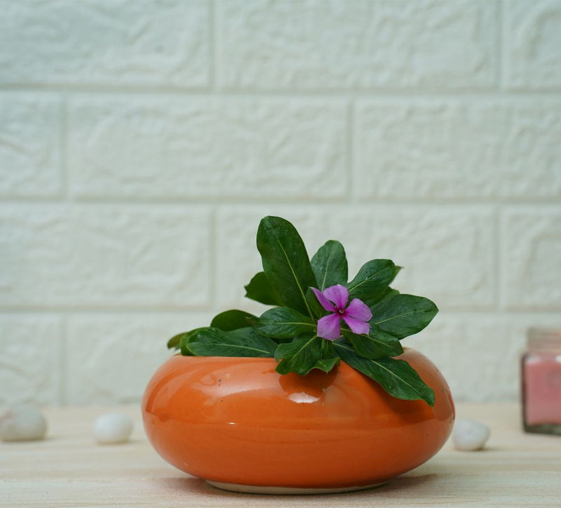 Buy Small Ceramic Pots for Desk | Orange | Shop Verified Sustainable Pots & Planters on Brown Living™