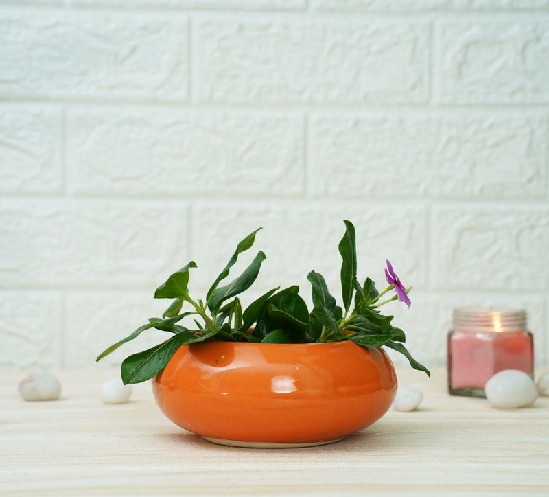 Buy Small Ceramic Pots for Desk | Orange | Shop Verified Sustainable Pots & Planters on Brown Living™