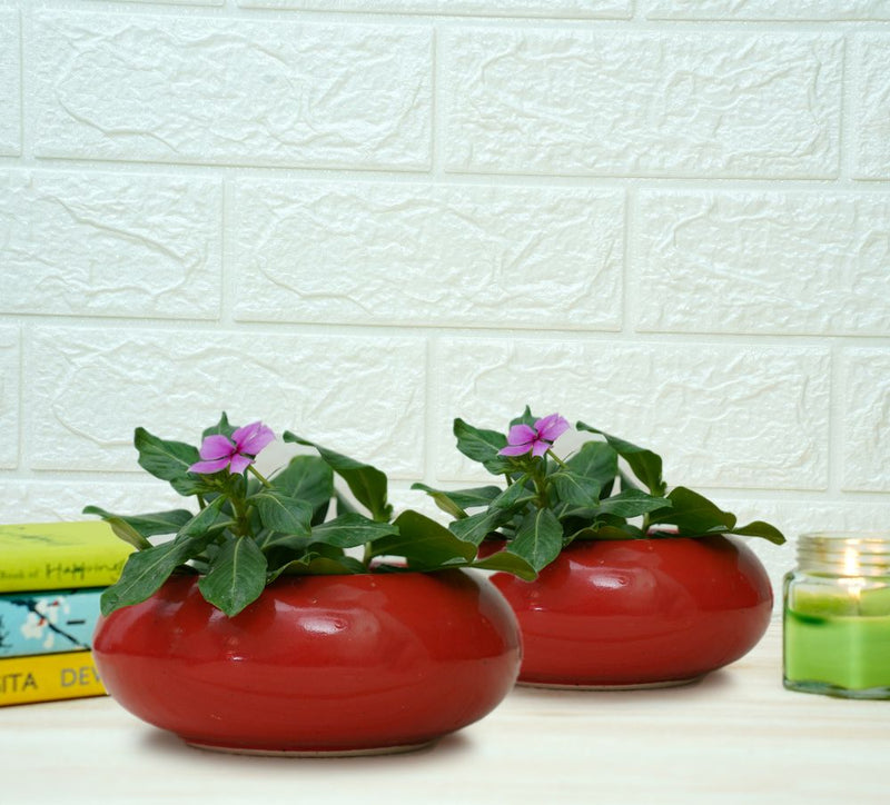 Buy Small Ceramic Pots for Desk | Red | Shop Verified Sustainable Pots & Planters on Brown Living™