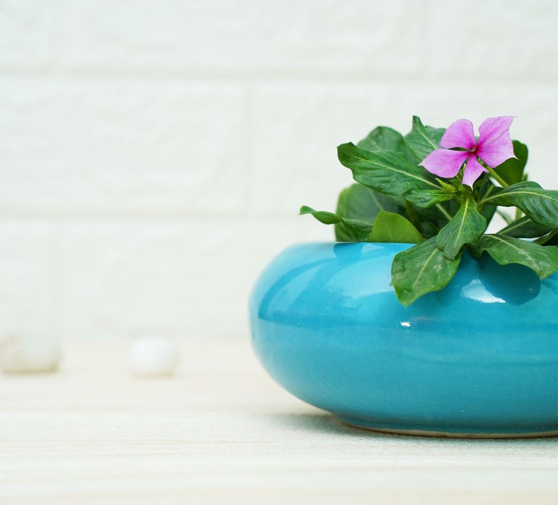 Buy Small Ceramic Pots for Desk | Sky Blue | Shop Verified Sustainable Pots & Planters on Brown Living™