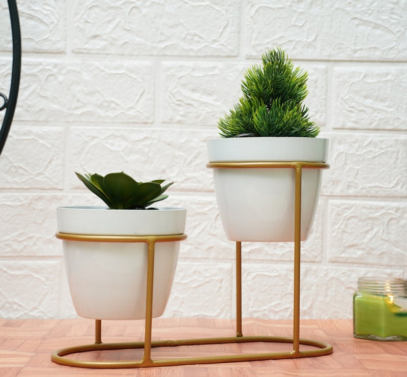 Buy Small Pot for Indoor Plants (White Double Planter) | Shop Verified Sustainable Pots & Planters on Brown Living™