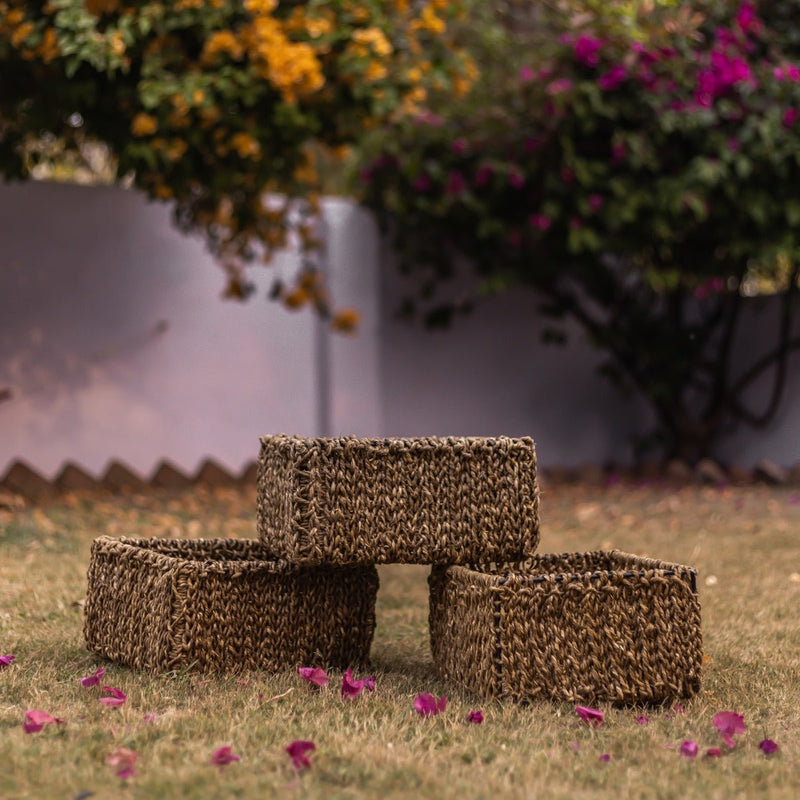 Buy Terra Natural Moonj Grass Basket | Shop Verified Sustainable Baskets & Boxes on Brown Living™