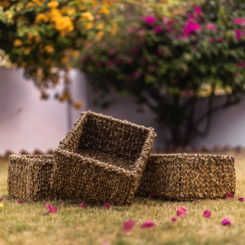 Buy Terra Natural Moonj Grass Basket | Shop Verified Sustainable Baskets & Boxes on Brown Living™