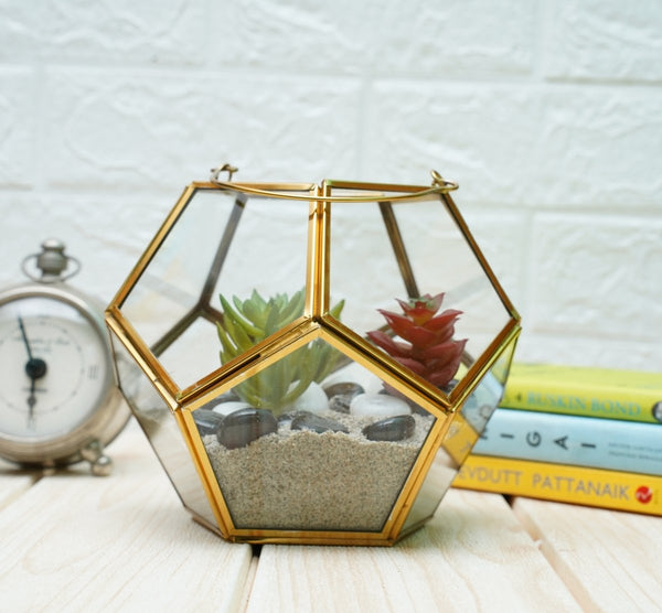 Buy Terrarium Glass Containers with Terrarium Grow Kit (Golden Fullerene) | Shop Verified Sustainable Pots & Planters on Brown Living™