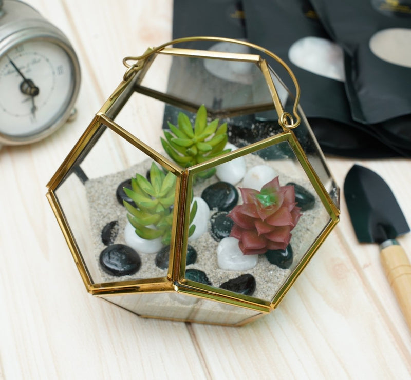 Buy Terrarium Glass Containers with Terrarium Grow Kit (Golden Fullerene) | Shop Verified Sustainable Pots & Planters on Brown Living™