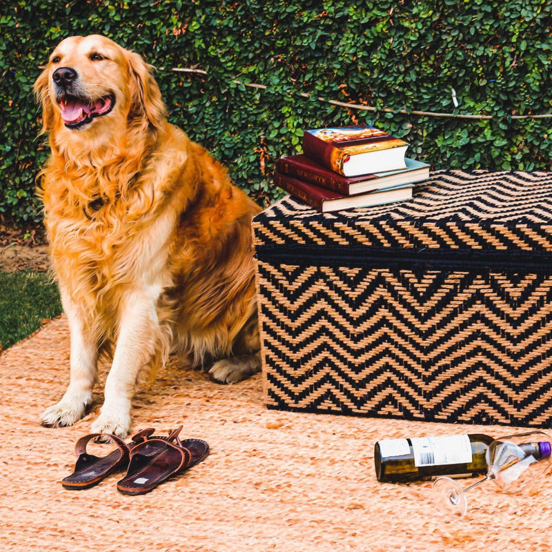 Buy The Buff Jute & Cotton Trunk | Shop Verified Sustainable Baskets & Boxes on Brown Living™