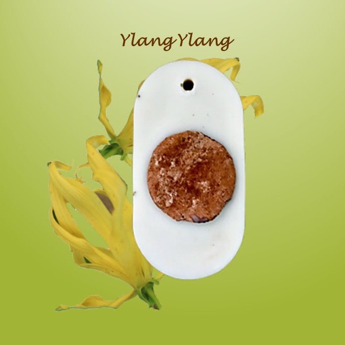 Buy Title: Reusable Soy Wax Air Freshener- Ylang Ylang Oil- Pack of 1 | Shop Verified Sustainable Candles & Fragrances on Brown Living™