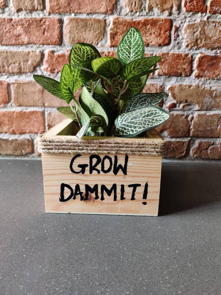 Buy Wooden Square Small Planter: Grow Dammit | Shop Verified Sustainable Pots & Planters on Brown Living™